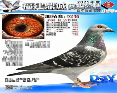鼎诚公棚加站赛52名