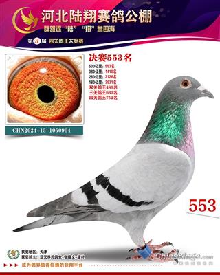 陆翔决赛553名