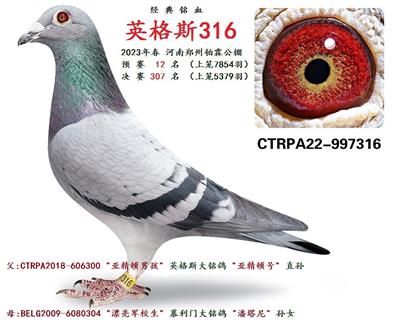 2023年河南铂霖
