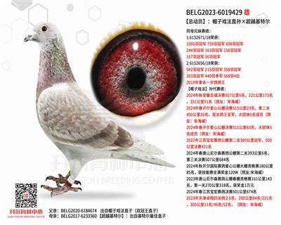 【总动员】：帽子戏法直孙×超越基特尔