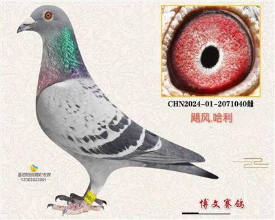 胖母040