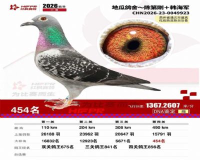 红枫小棚决赛454名