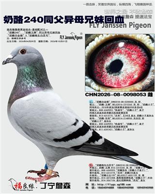 奶酪240同父异母兄妹回血