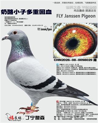 奶酪小子多重回血