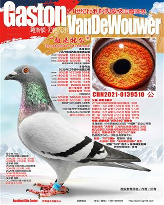 公棚300公里7名