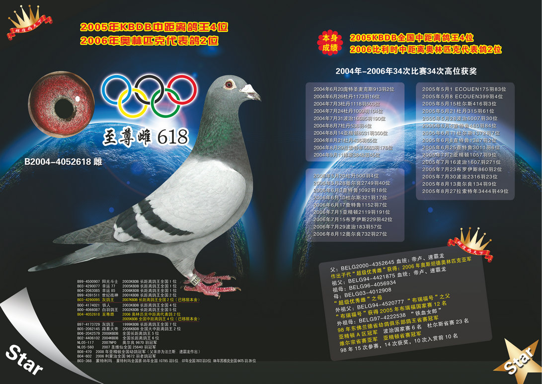 "至尊家族999"