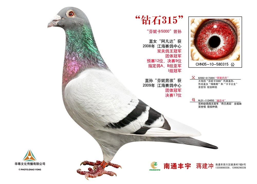 钻石315(芬妮卡5000曾孙)阿凡达父