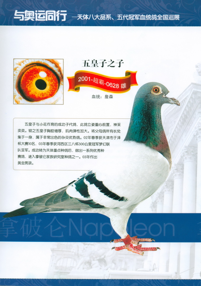 五皇子之子 2001-超霸-0628