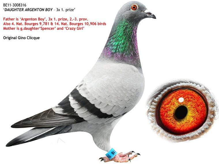 吉诺.克里克-三冠王直女