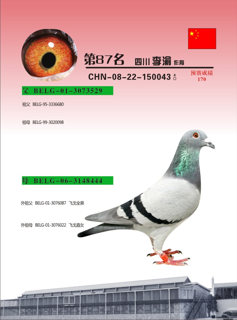 08年春上海中荣决赛87名(已售)