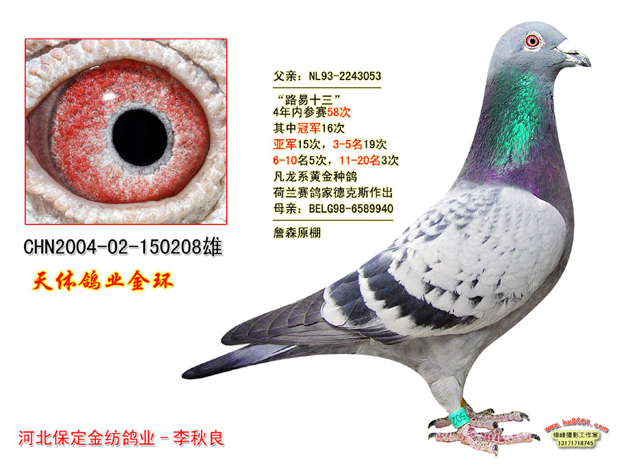 天体金环