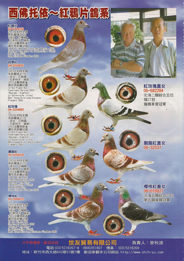 西佛托依—红鸦片糸列