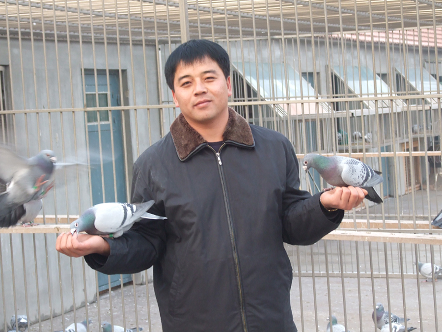 主人(杨帆)_中国超悦鸽业_ ag188.com爱鸽商城_中国信鸽信息网