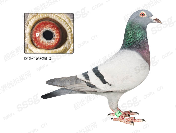 安德烈斯·德拉帕