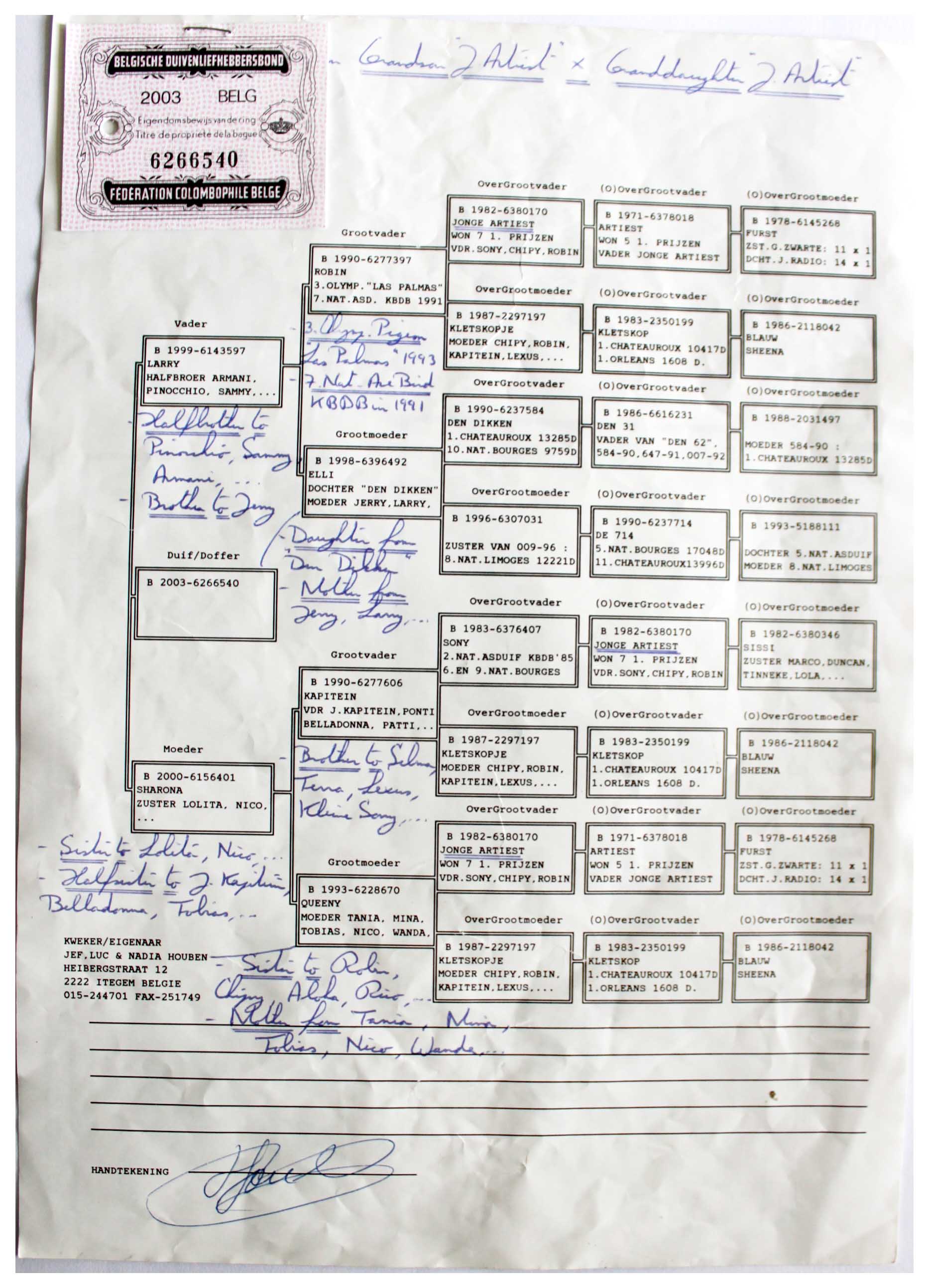 胡本原舍 拉芮配沙罗娜直女[己售江苏俊清