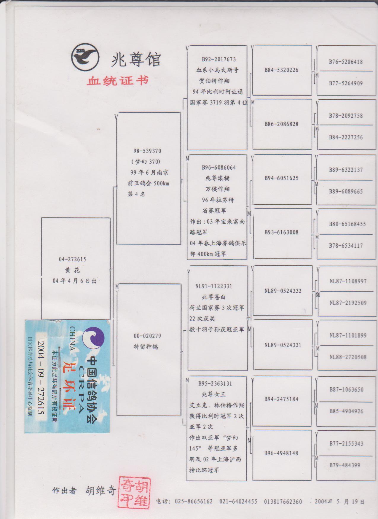 兆尊苍白*凡龙银影