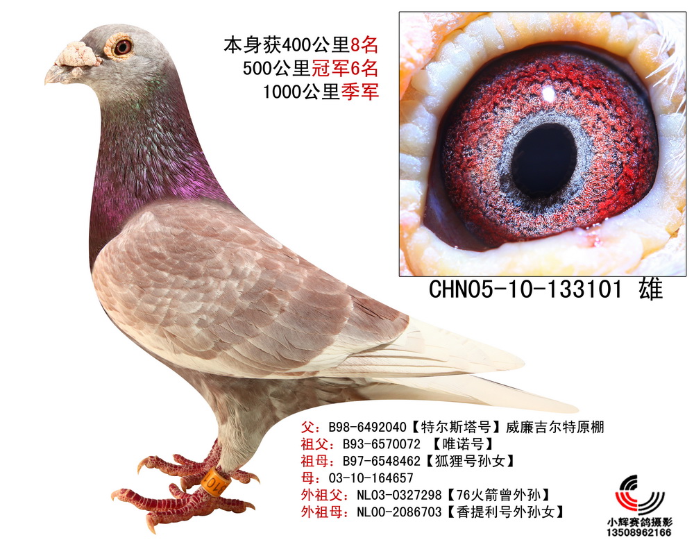 红魔王【已转让】