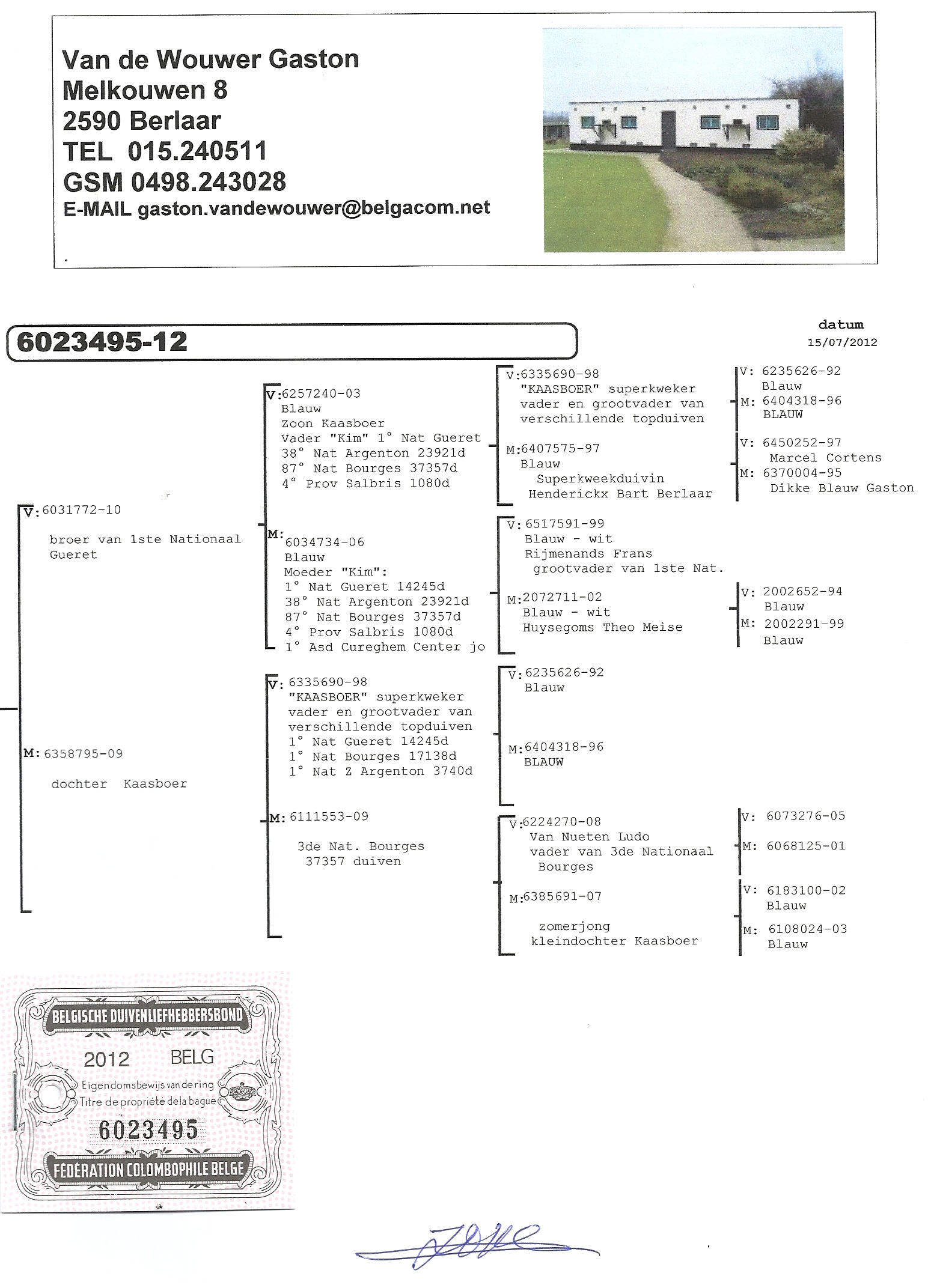 金姆奶酪孙女495