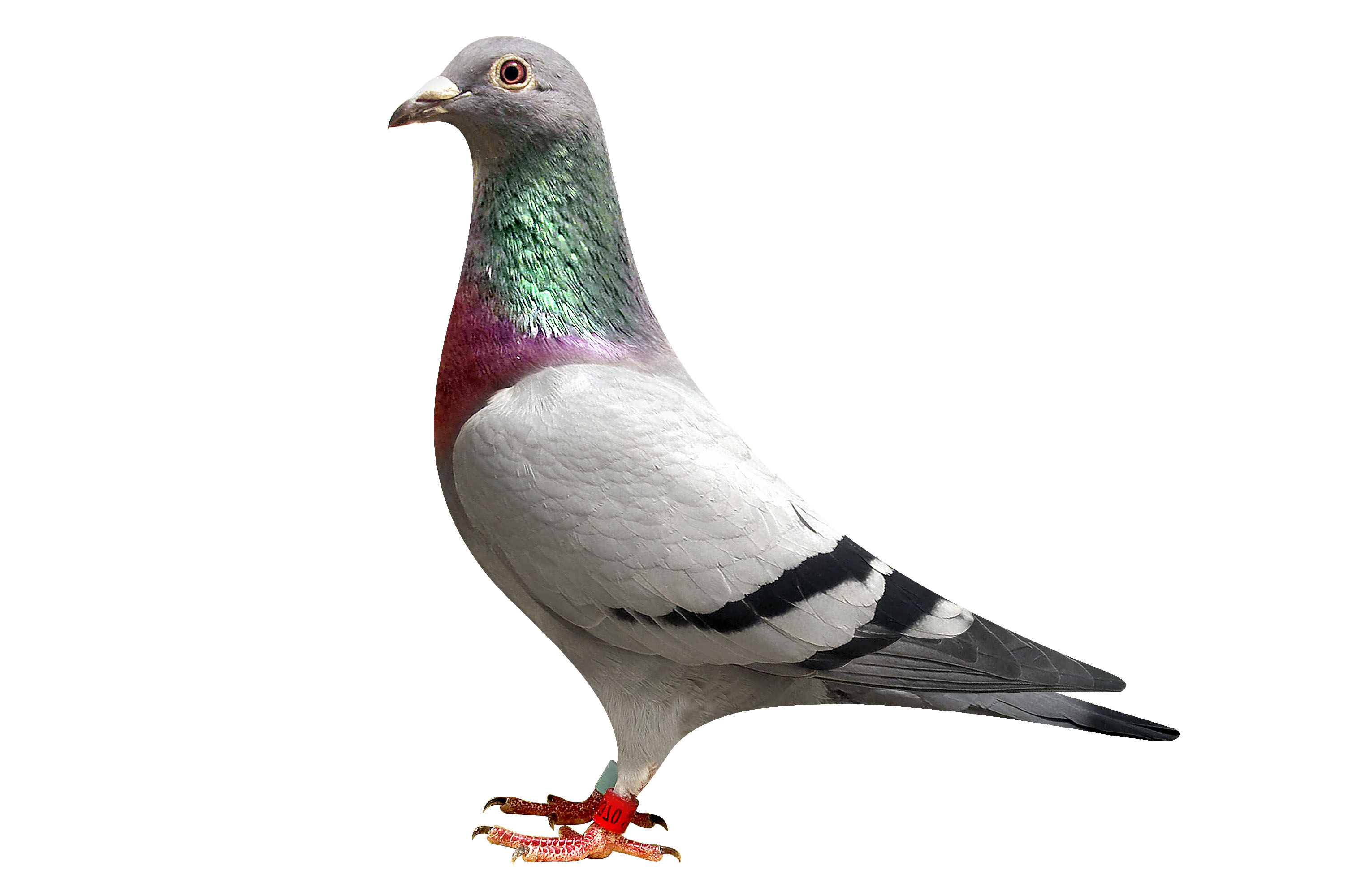 1731370