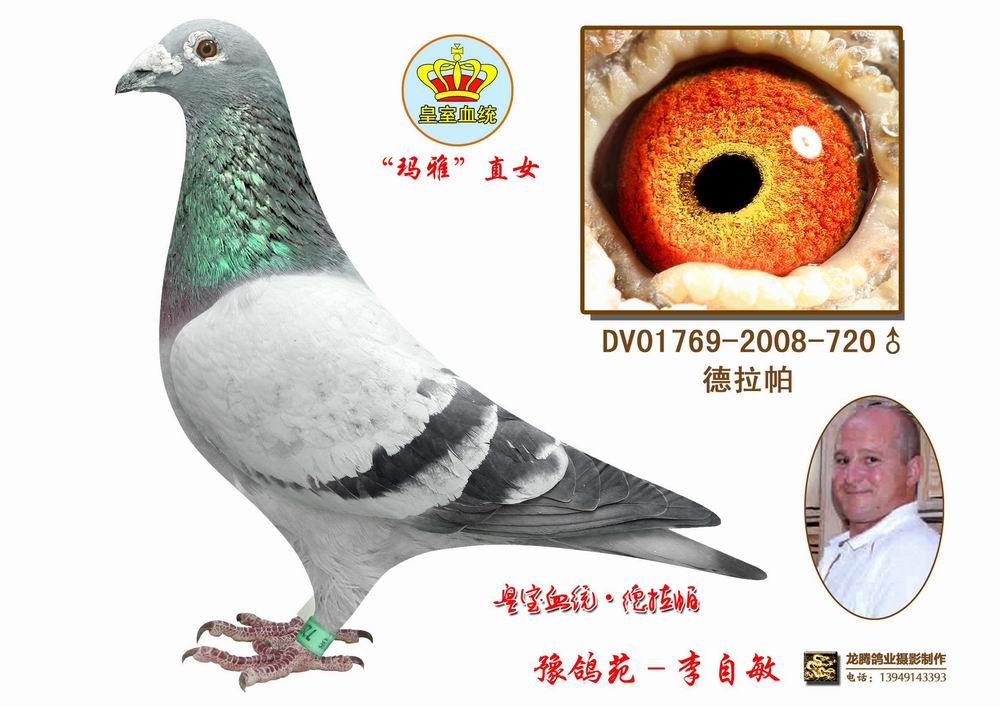 德拉帕原棚