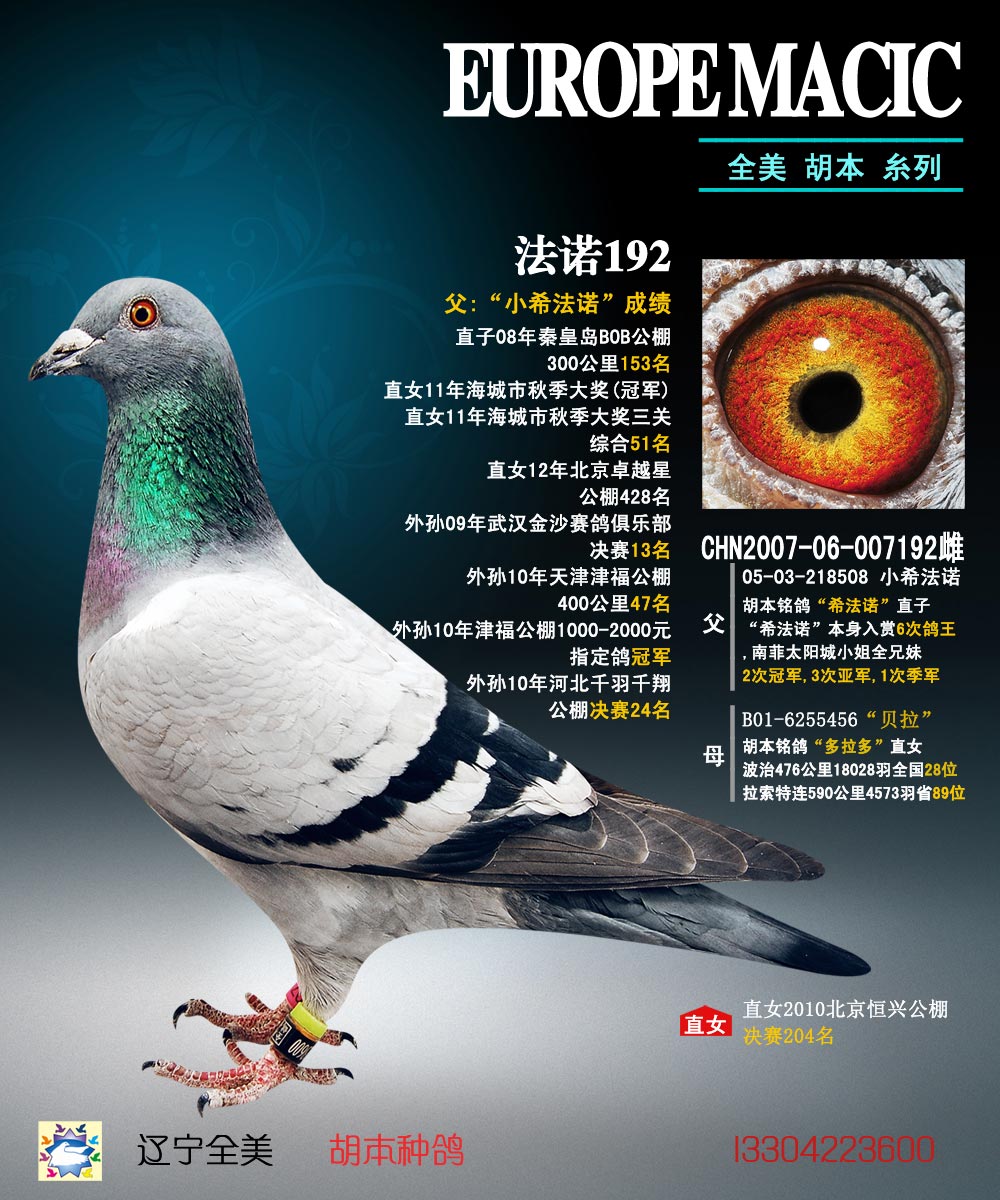 鸽 名:羽 色:灰眼 砂:黄眼收 藏:点击收藏环 号:2007-06-007192性 别