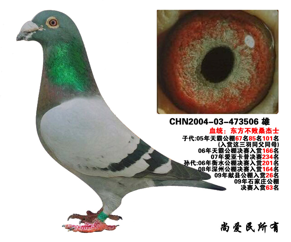 东方不败桑杰士