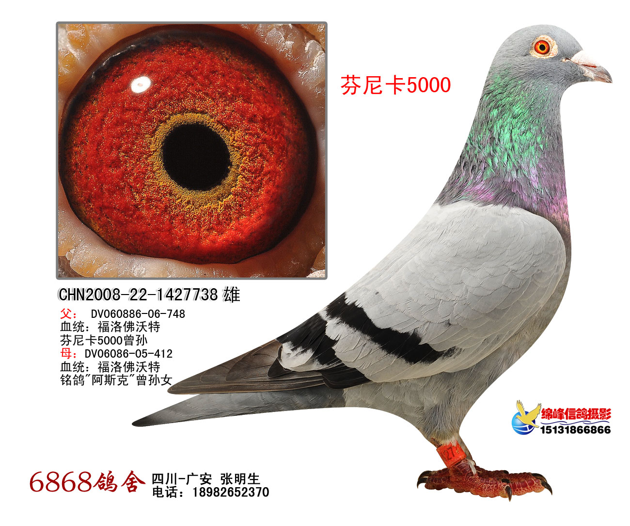 芬尼卡5000