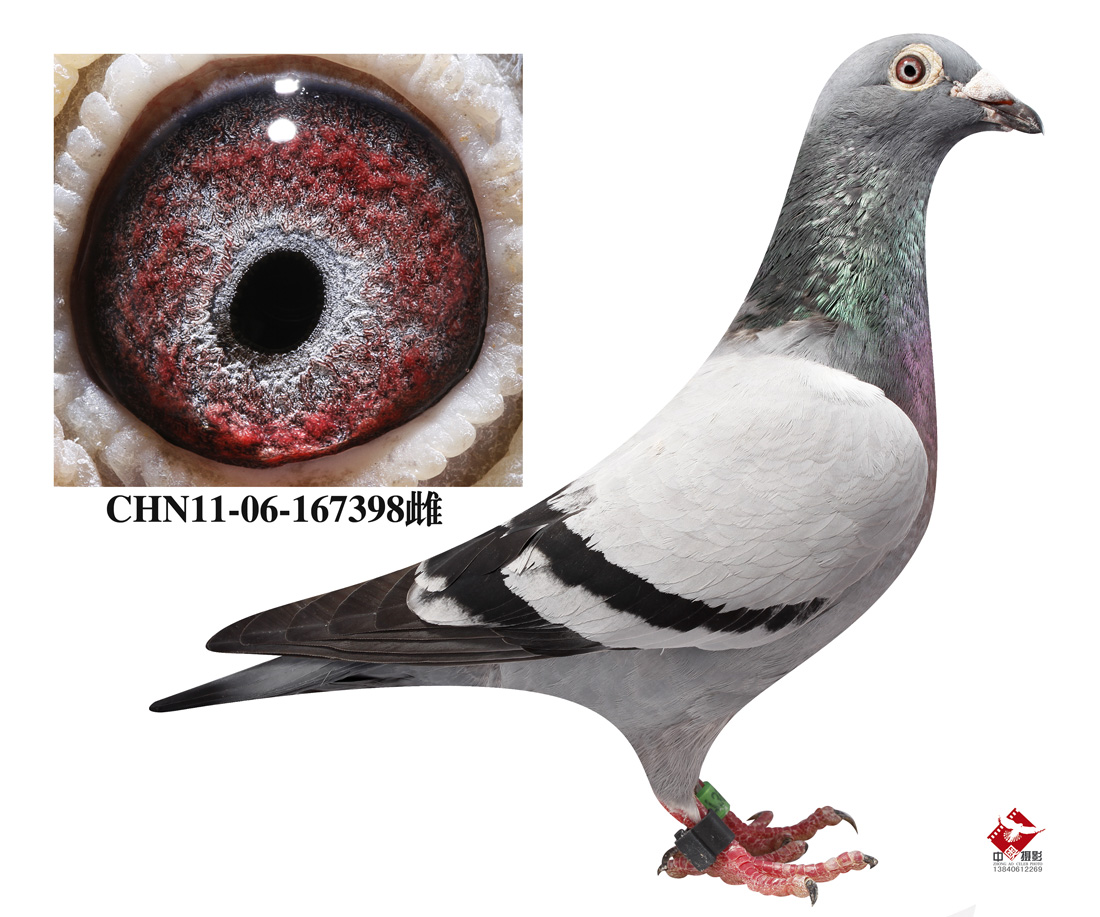 300公里冠军_沈阳商伟鹏-行磐肷坛