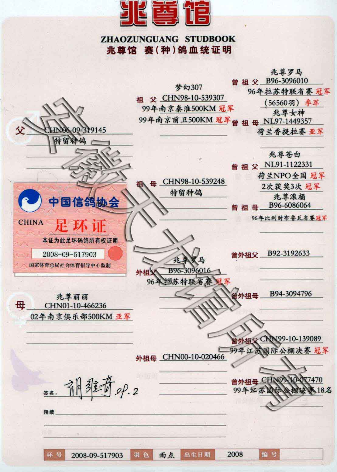 "黑衣天使"中国兆尊馆—胡维奇作育