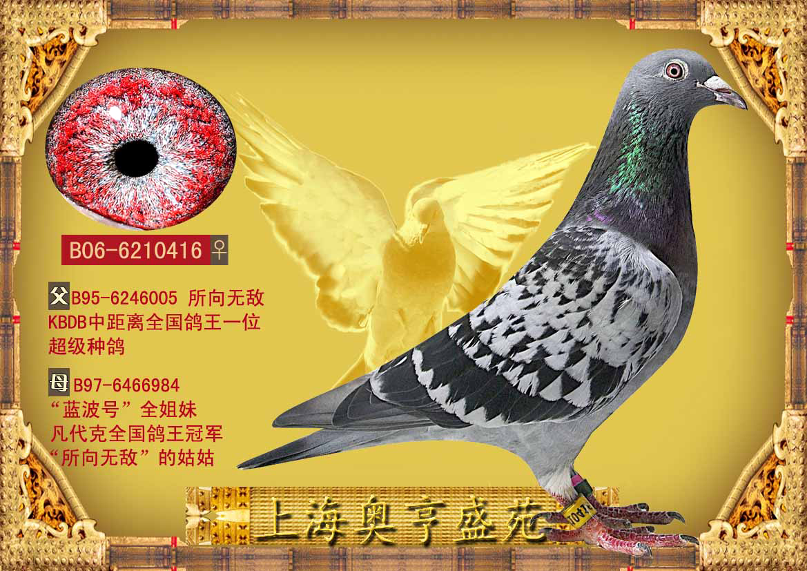 "所向无敌"直女