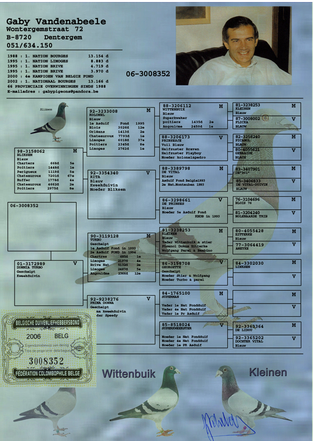 盖比闪电号直女