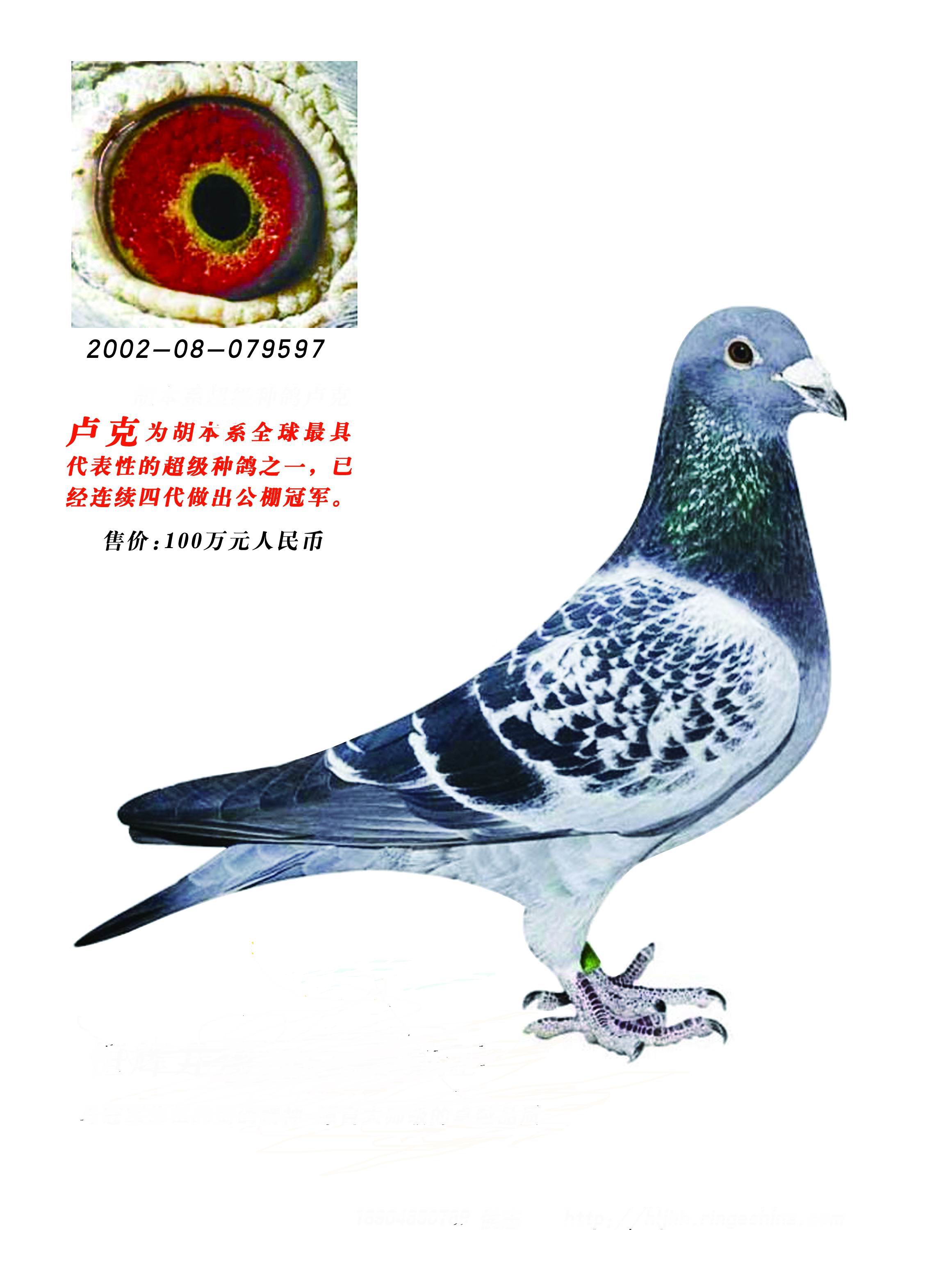 父亲;卢克
