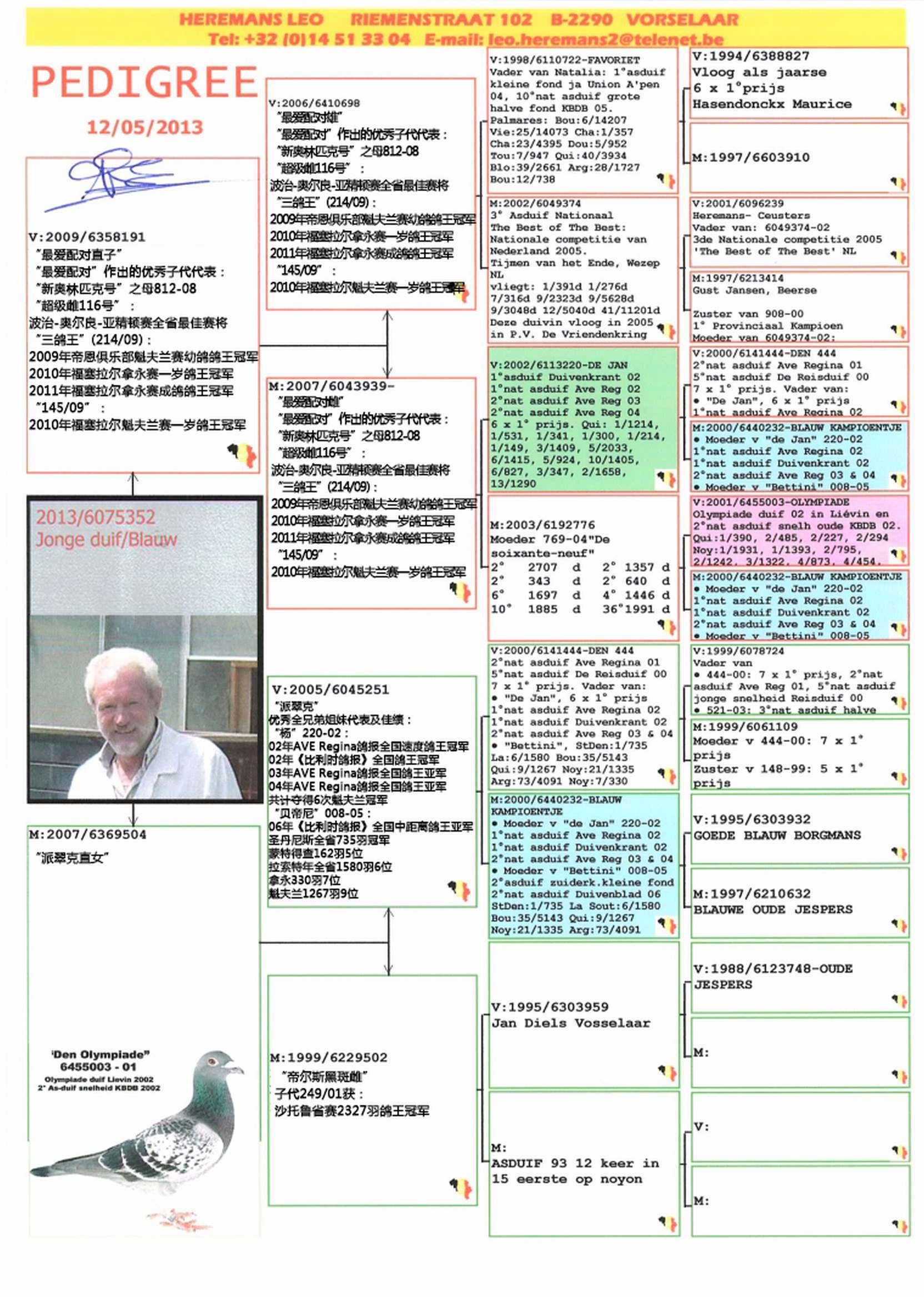 老炮儿鸽子原型图片