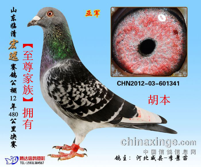 胡本