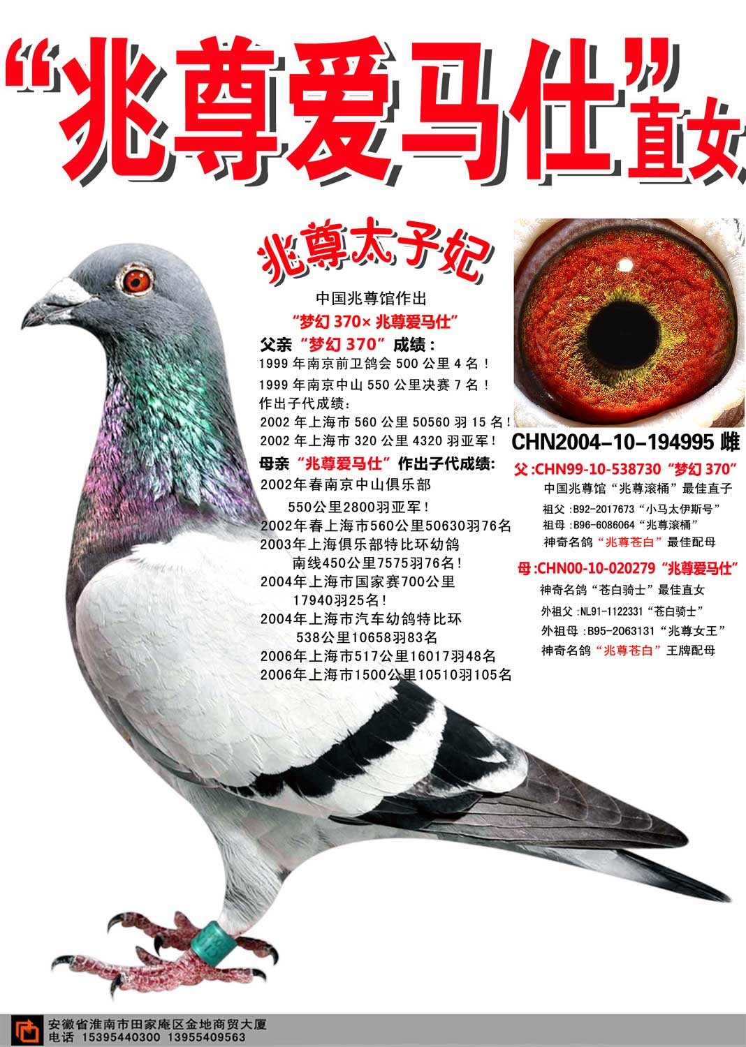 兆尊馆"兆尊爱马仕"直女【兆尊太子妃】