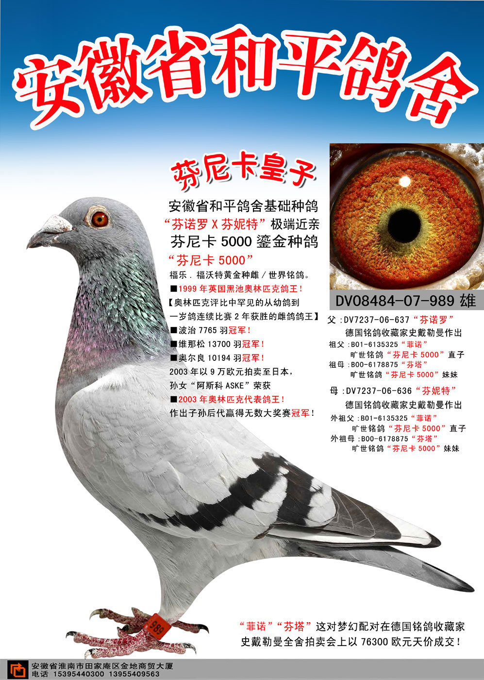 芬尼卡皇子【芬尼卡5000家族】