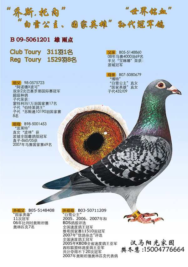 汉马阳光家园