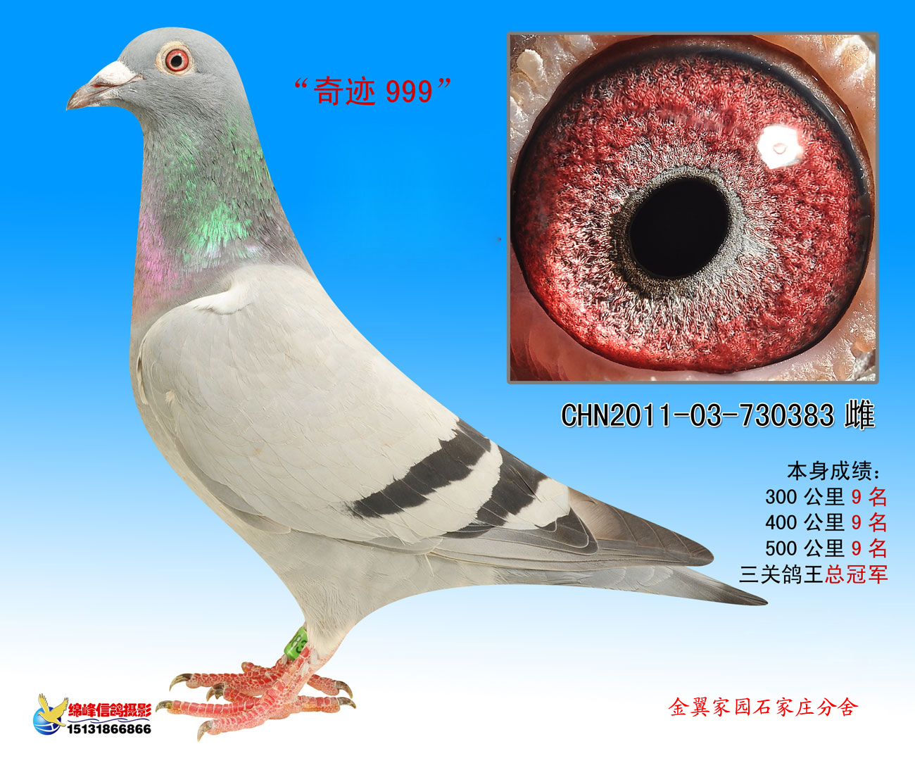 金翼家园石家庄分舍