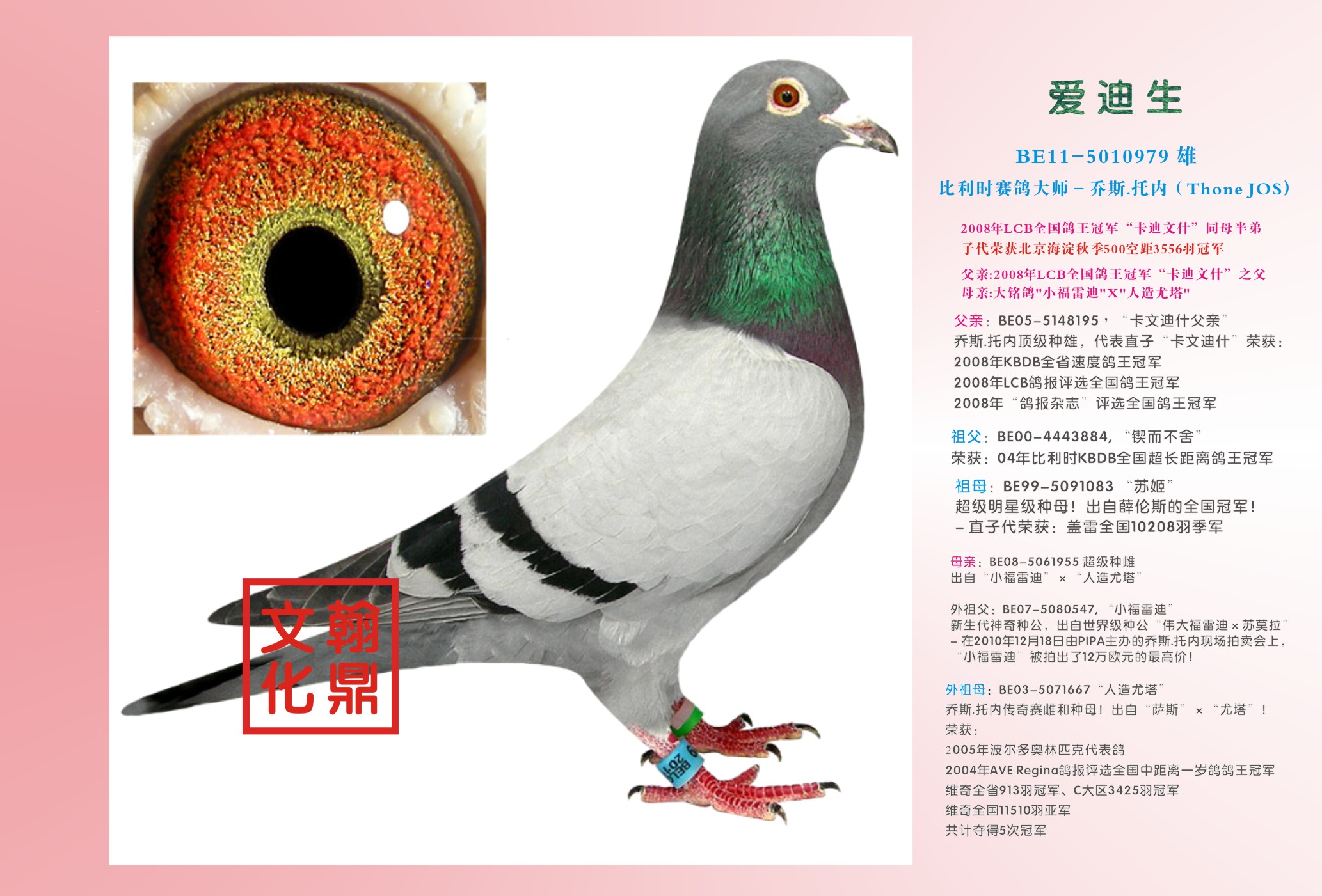 乔斯.托内"爱迪生"_翰鼎文化传媒_ ag188.com爱鸽商城_中国信鸽信息网