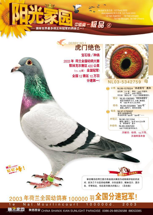汉马阳光家园