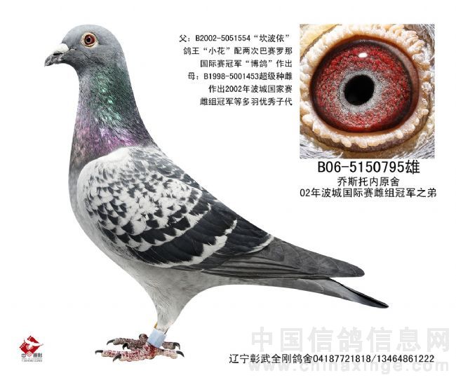 乔斯托内