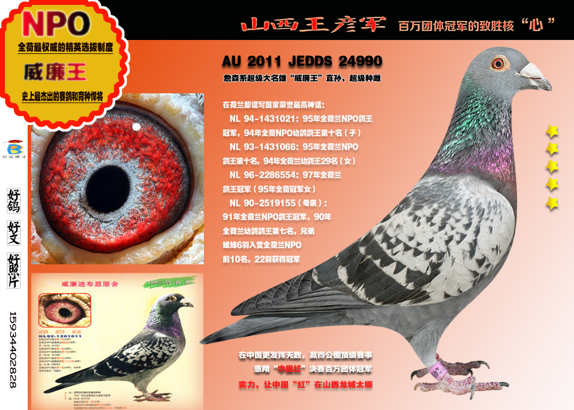 威廉24990