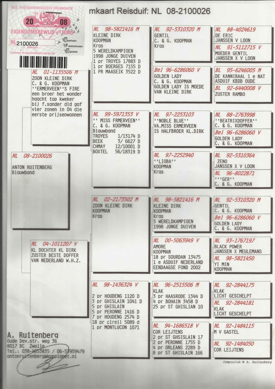 小迪克近亲直孙_北京宫皇府鸽业_ ag188.com爱鸽商城_中国信鸽信息网