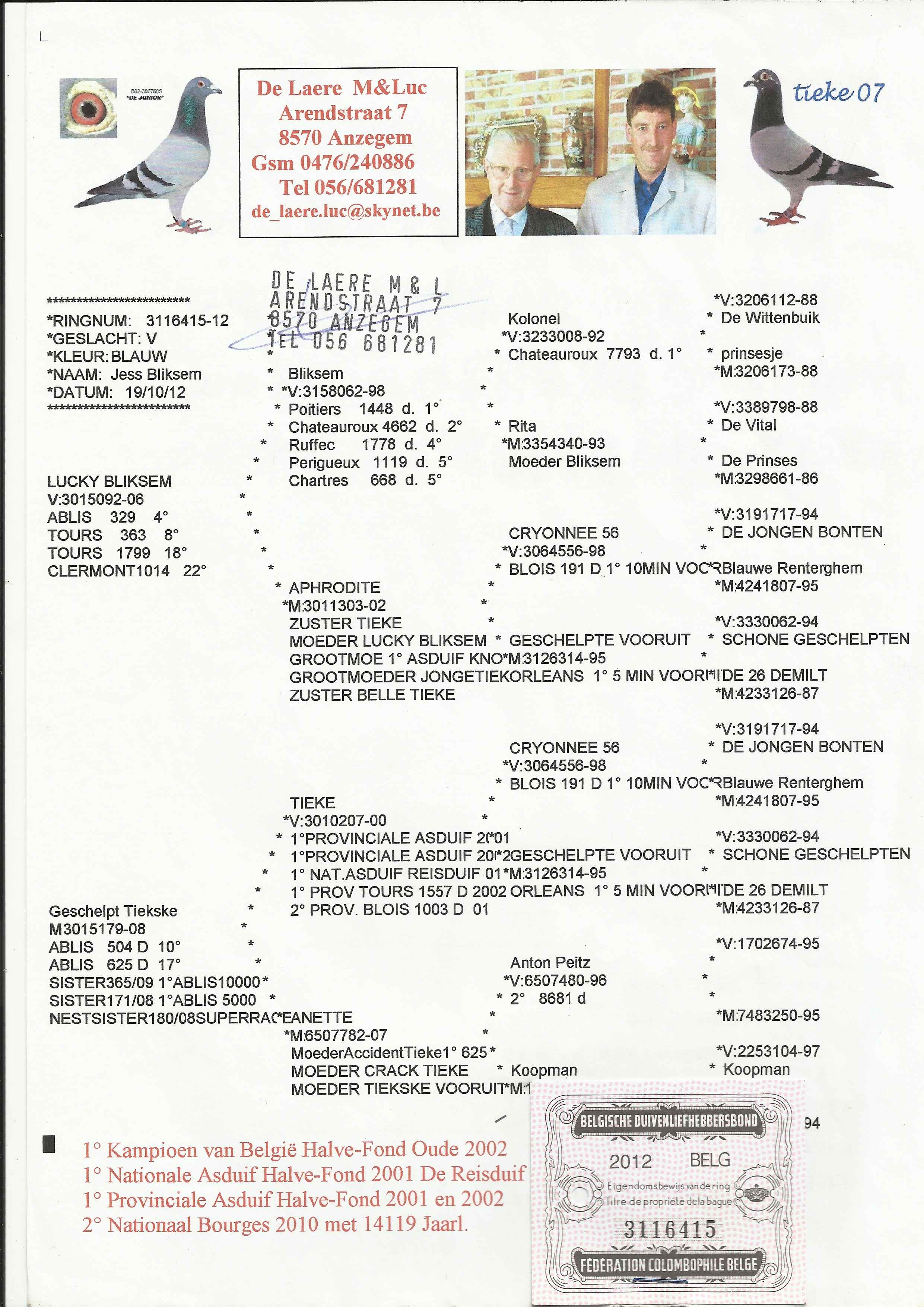 鸽子血统书制作样板图片