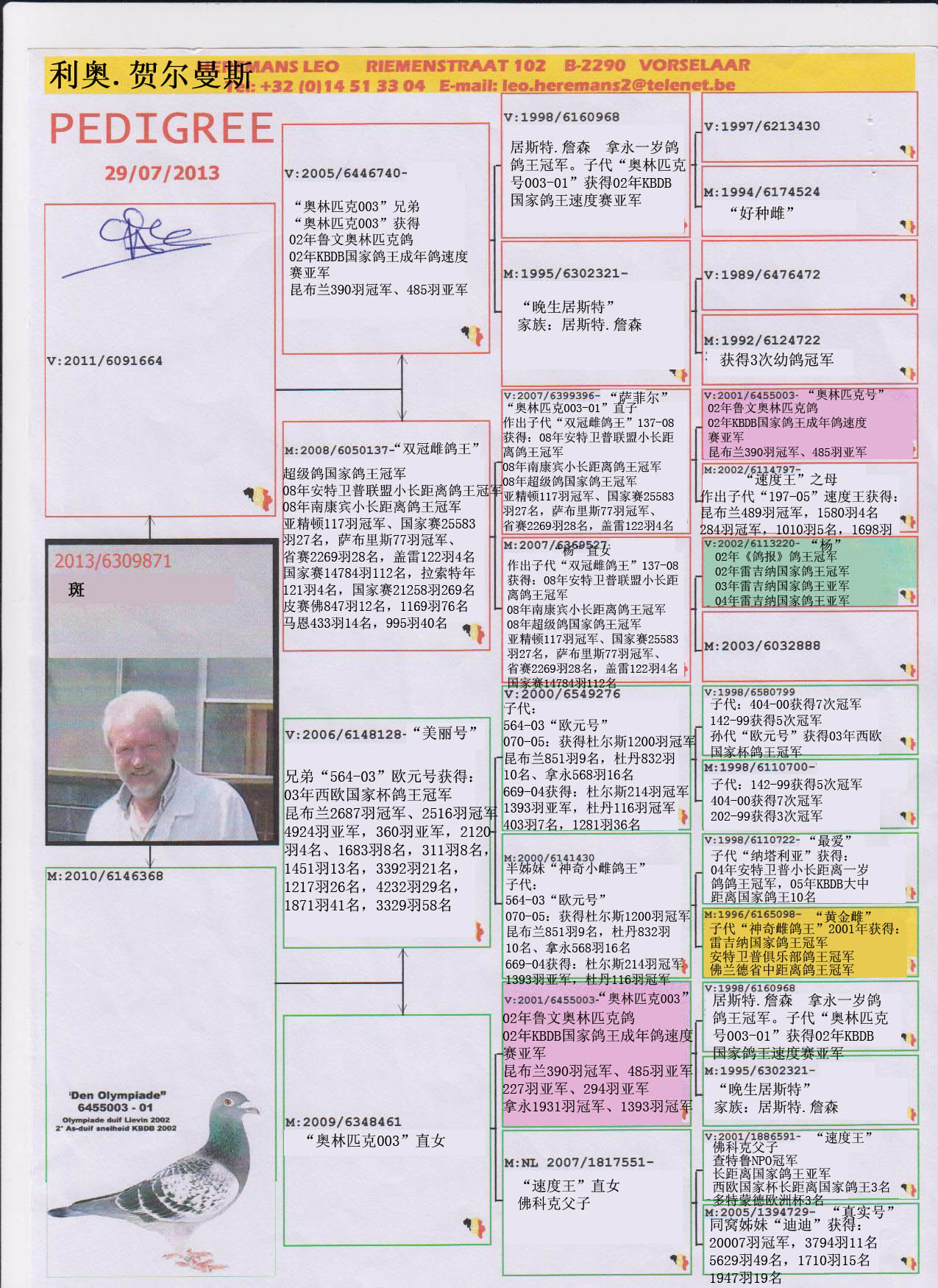 信鸽回血提纯公式图片图片