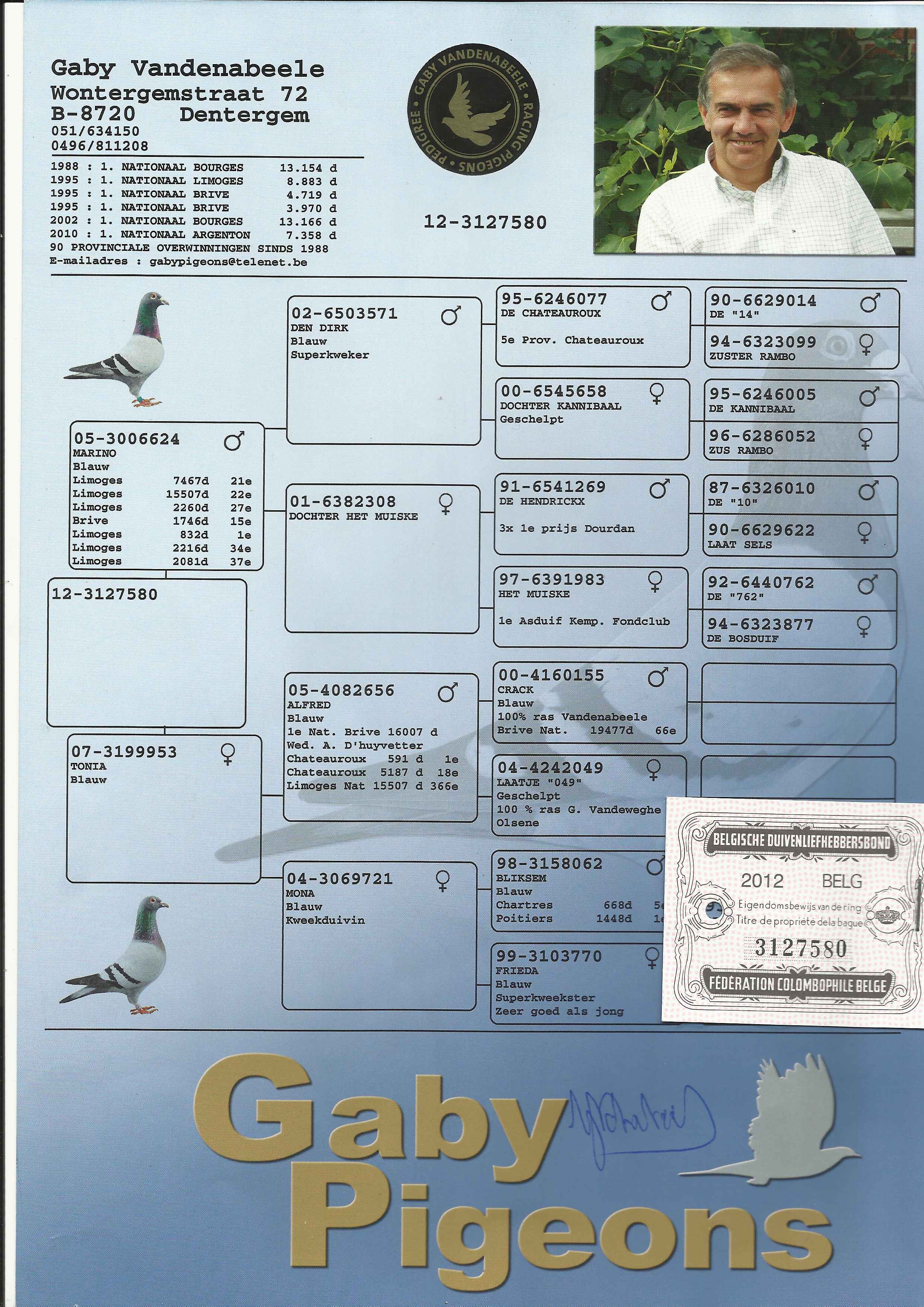 鸽子血统证书图片