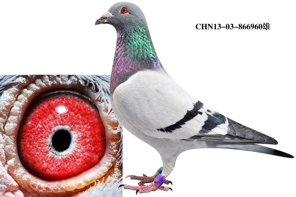 凡戴克《非卖品》