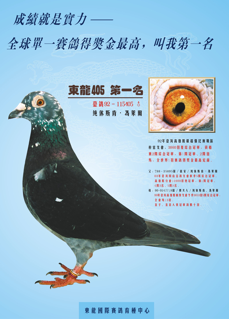 台湾东龙赛鸽育种中心