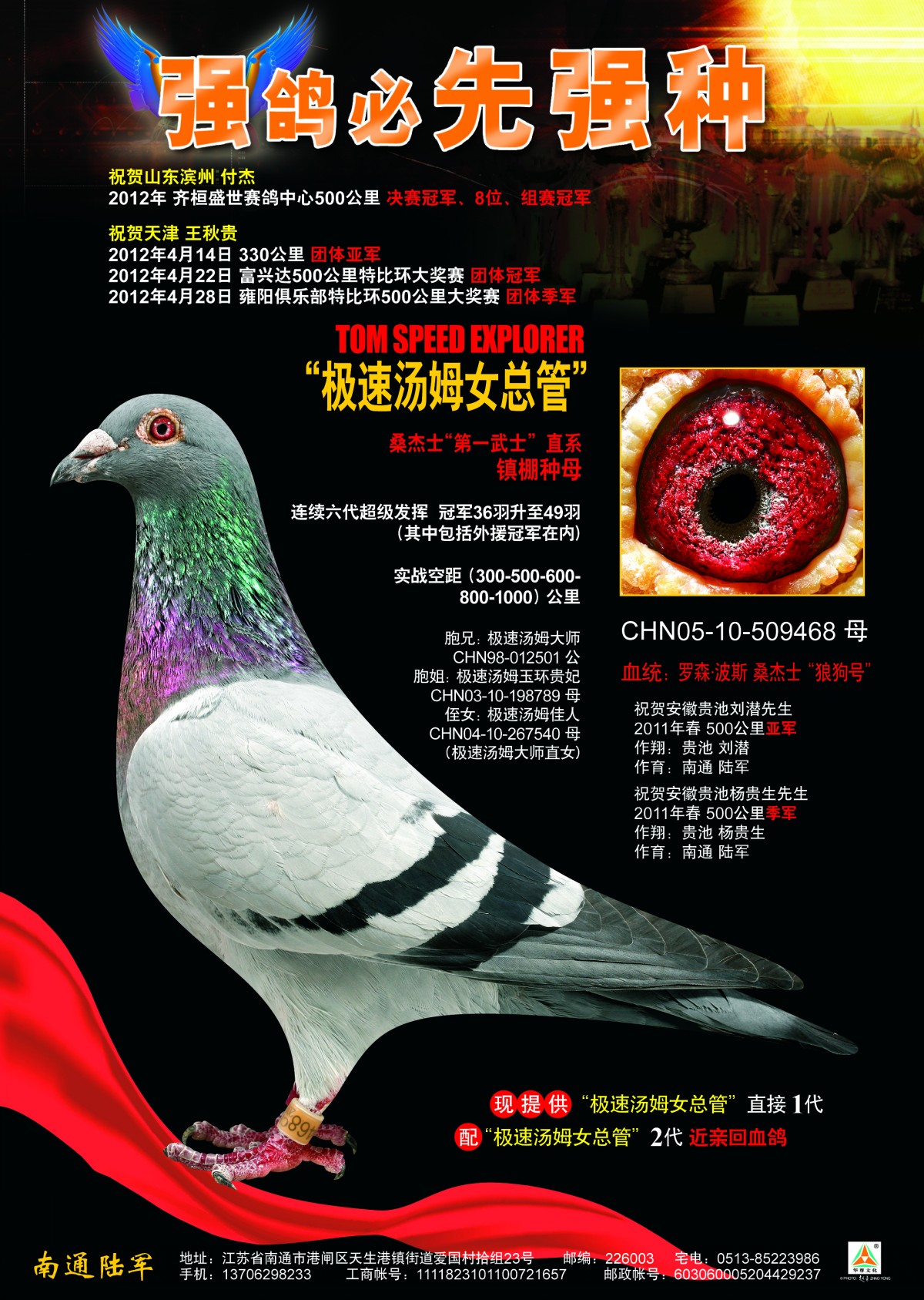 极速汤姆女总管_南通陆军极速鸽舍_ ag188.