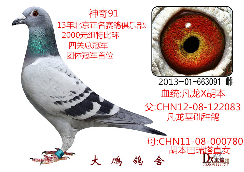 北京正名四關綜合總冠軍